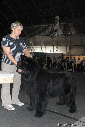 Фотография № 53554