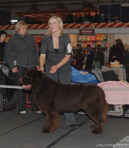 Фотография № 53555