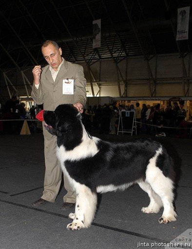 Фотография № 53556