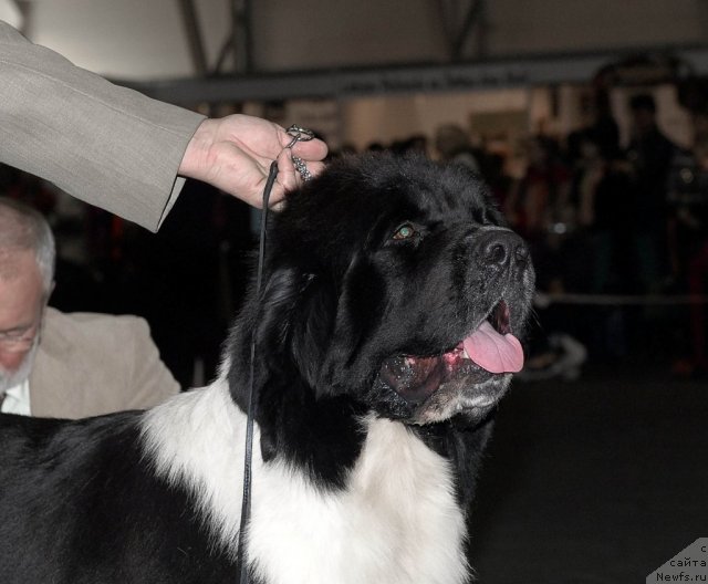 Фотография № 53557