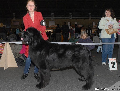 Фотография № 53560