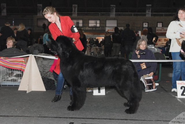 Фотография № 53562