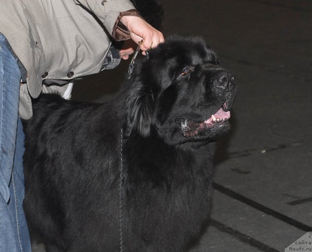 Фотография № 53564