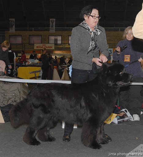 Фотография № 53566