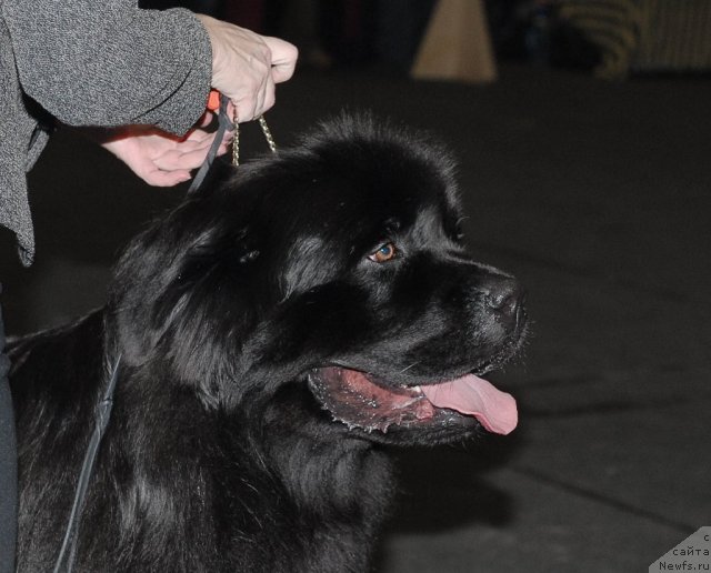 Фотография № 53567