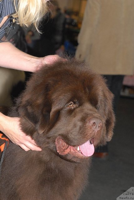 Фотография № 53569