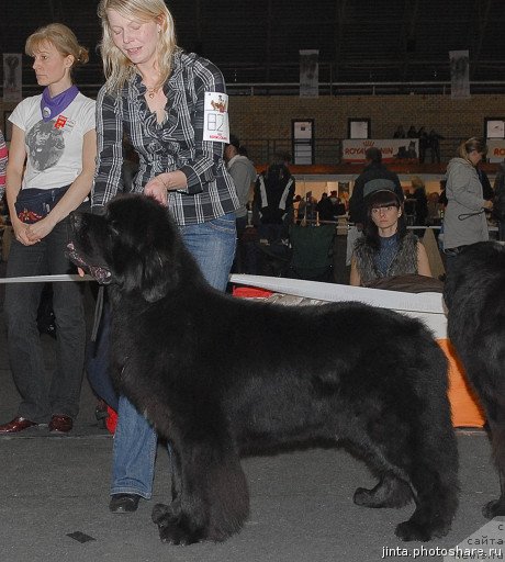 Фотография № 53571