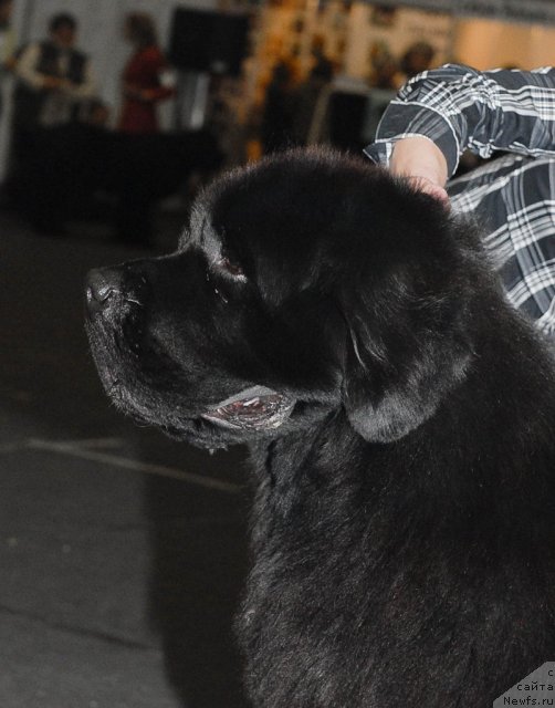 Фотография № 53572