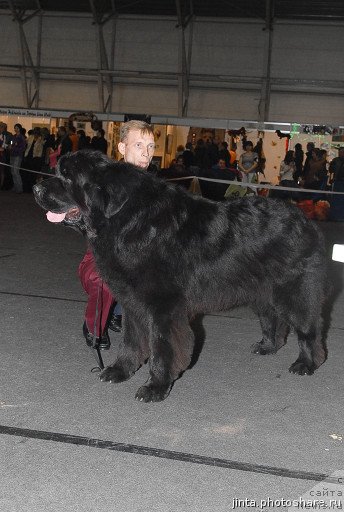 Фотография № 53573