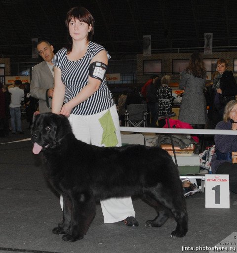 Фотография № 53575