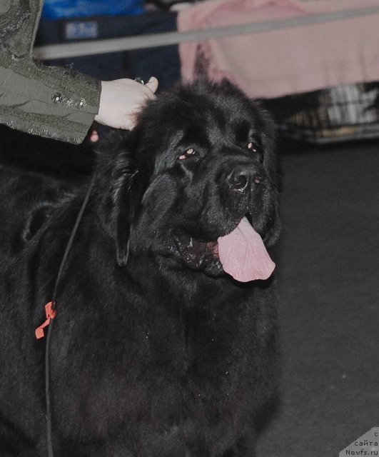 Фотография № 53578