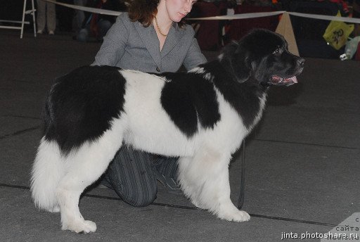 Фотография № 53579