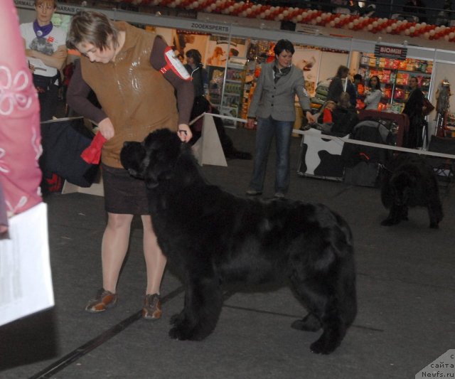 Фотография № 53583