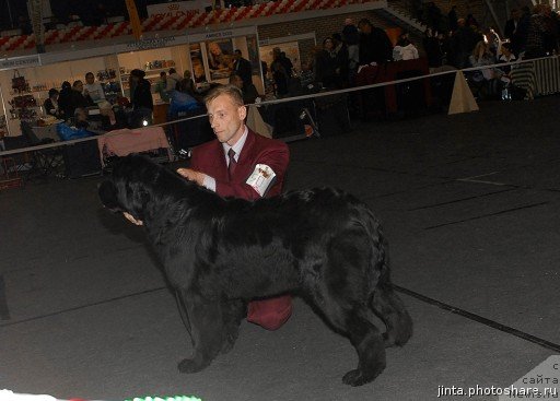 Фотография № 53585