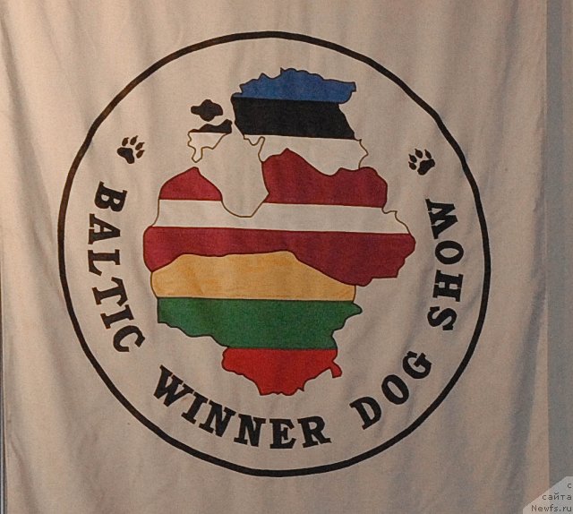 Фотография № 53588