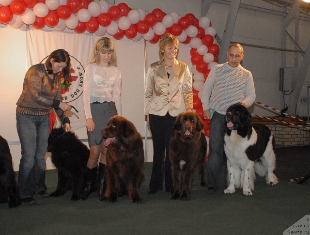 Фотография № 53589