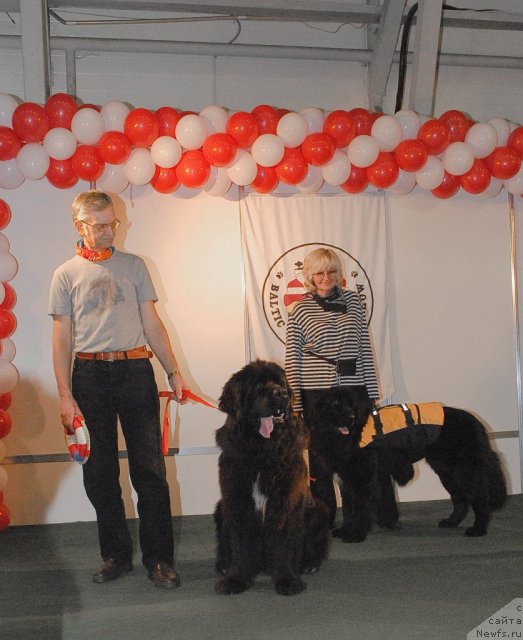 Фотография № 53591