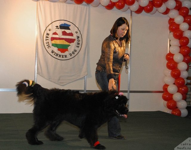 Фотография № 53593