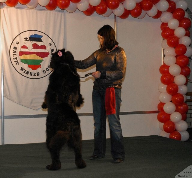 Фотография № 53594