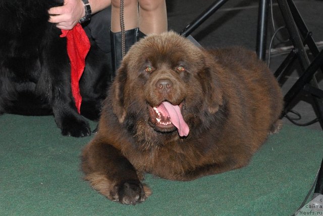 Фотография № 53596