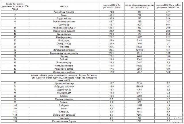 Фотография № 53598