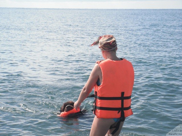 Фотография № 53606