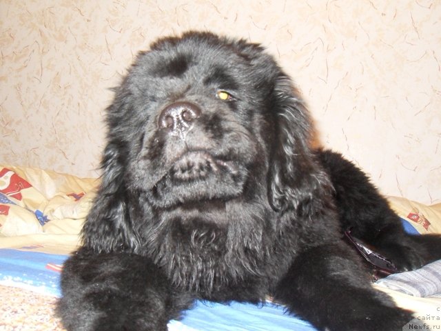 Фотография № 53612