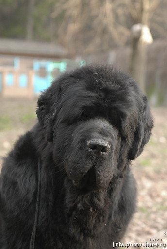 Фотография № 53646