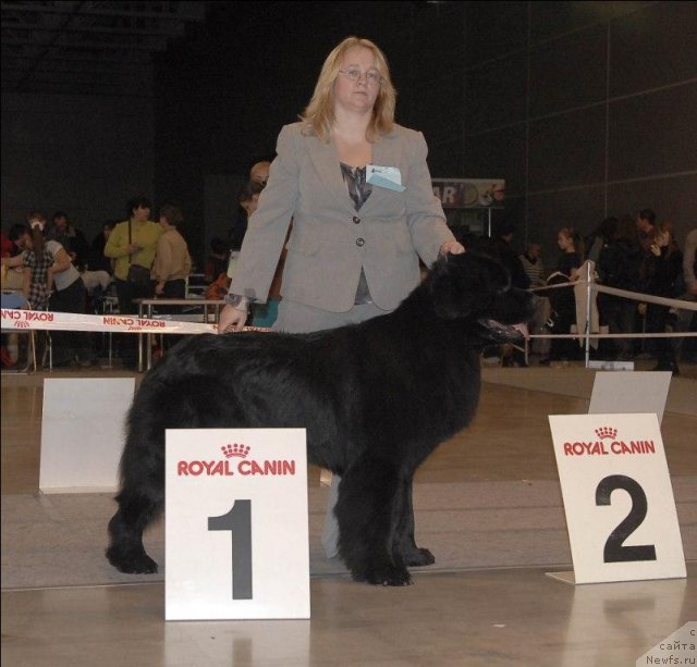 Фотография № 53669