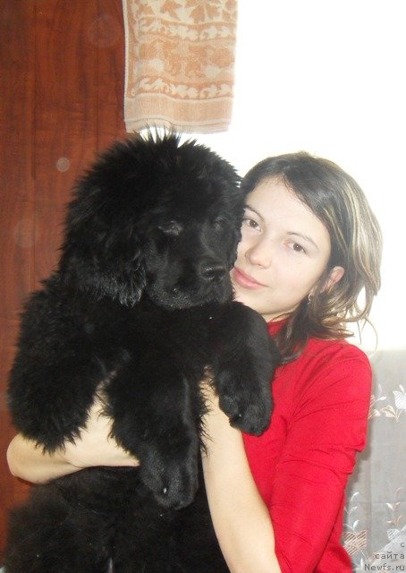 Фотография № 53700