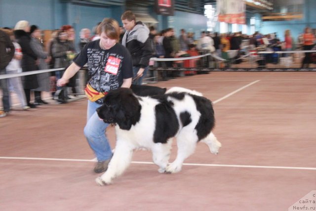 Фотография № 53703