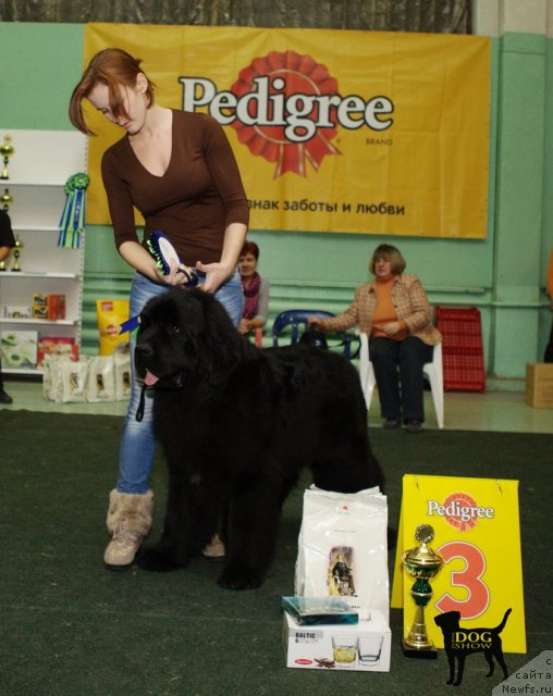 Фотография № 53707