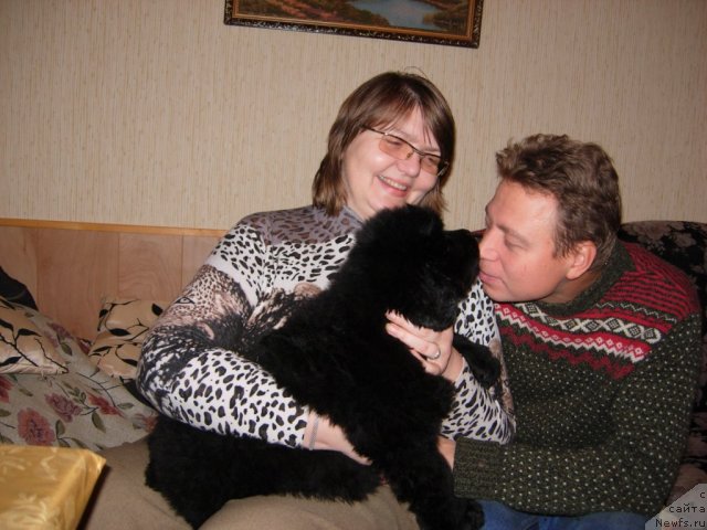 Фото: ньюфаундленд Smigar Galaxsy Shall Win (Смигар Галакси Шелл Вин), Vlasta Bezzubchenko (Власта Беззубченко), Гоша