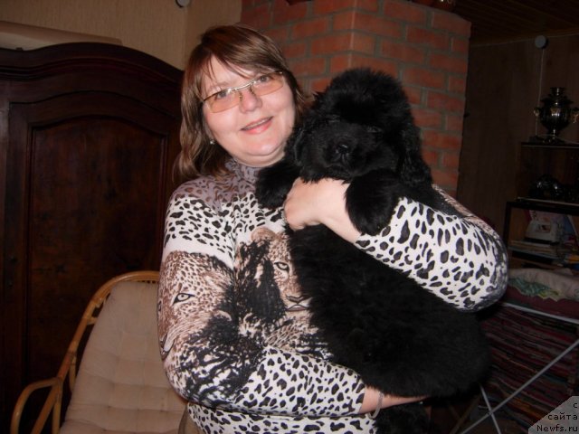 Фото: ньюфаундленд Smigar Galaxsy Shall Win (Смигар Галакси Шелл Вин), Vlasta Bezzubchenko (Власта Беззубченко)