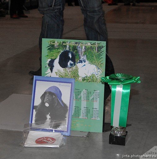 Фотография № 53714