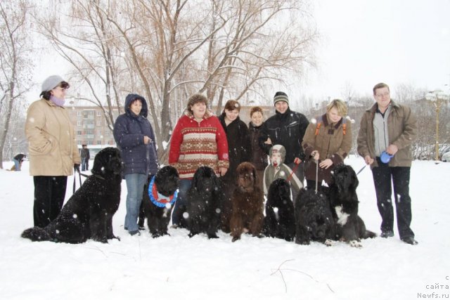 Фото: Ol'ga Ojgibesova (Ольга Ожгибесова), ньюфаундленд Blyek Diamond Agidel' ot Potapa Styessi (Блэк Диамонд Агидель от Потапа Стэсси), Alevtina Batyan (Алевтина Батян), ньюфаундленд Black Diamond Agidel ot Potapa Patricia (Блэк Диамонд Агидель от Потапа Патриция), Irina Gabova (Ирина Габова), ньюфаундленд Aquatoriya Kelvin Zaznoba (Акватория Келвин Зазноба), Natal'ya Gostyuhina (Наталья Гостюхина), ньюфаундленд Koketka ot CHannel iz Medvej'ego YAra (Кокетка от Чаннел из Медвежьего Яра), Irina Nistratova (Ирина Нистратова), Aleksey Nistratov (Алексей Нистратов), ньюфаундленд Ih Vyisochestvo Vladlena Madjiks (Их Высочество Владлена Маджикс), Vitaliy Perevyishin (Виталий Перевышин), ньюфаундленд Bol'shaya Udacha (Большая Удача), ньюфаундленд Blestyaschaya Brina (Блестящая Брина)
