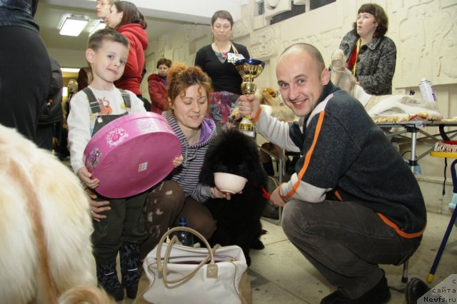 Фото: ньюфаундленд Ih Vyisochestvo Vladlena Madjiks (Их Высочество Владлена Маджикс), Aleksey Nistratov (Алексей Нистратов), Irina Nistratova (Ирина Нистратова)