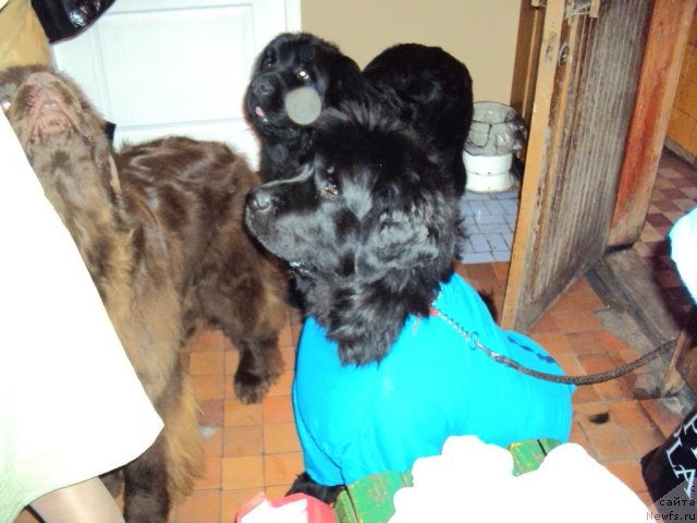 Фотография № 53734