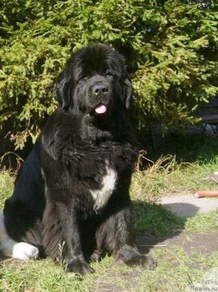 Фотография № 53767