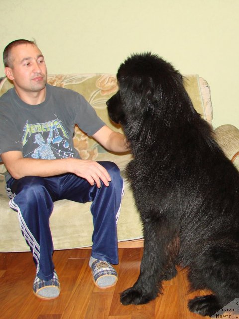 Фотография № 53771