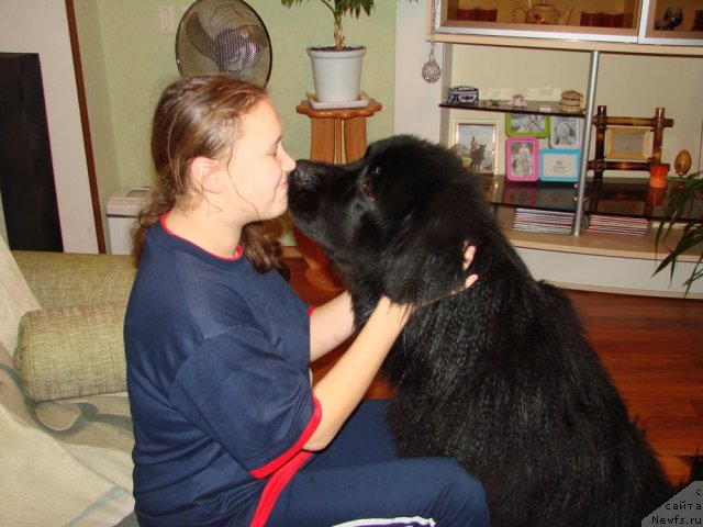 Фотография № 53772