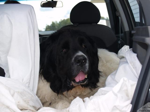 Фото: Aleksey Zarh (Алексей Зарх)