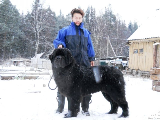 Фотография № 53791