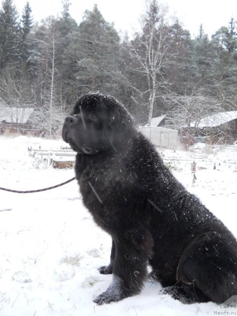 Фотография № 53792