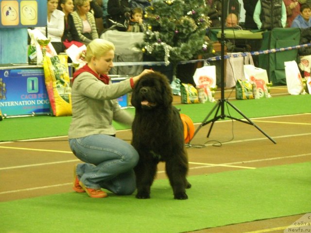 Фотография № 53814