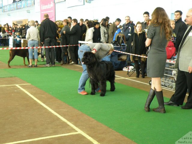 Фотография № 53816