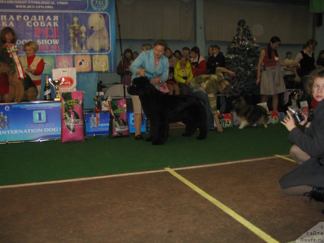 Фотография № 53818