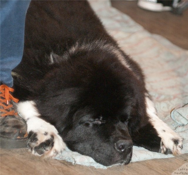 Фотография № 53827