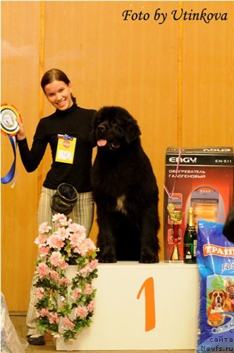 Фотография № 53839