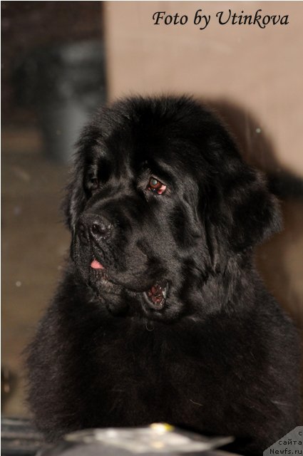 Фотография № 53841